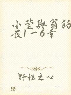 小莹与翁的销魂夜1一6章