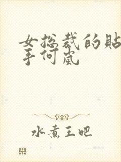 女总裁的贴身高手何岚