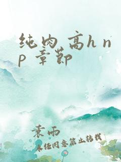 纯肉 高h np 章节