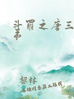 斗罗之唐三是我弟