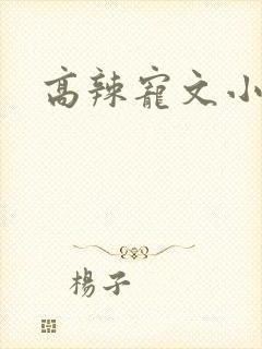 高辣宠文小狼狗