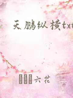 天鹏纵横txt