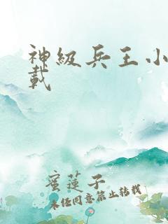 神级兵王小说下载