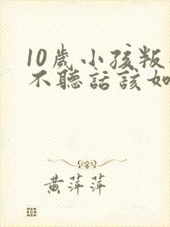 10岁小孩叛逆不听话该如何管教的书