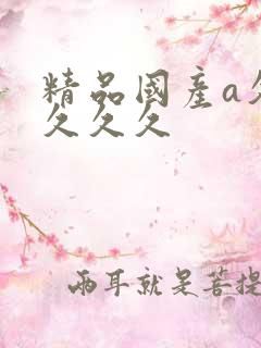 精品国产a久久久久久