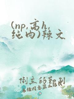 (np,高h,纯肉)辣文