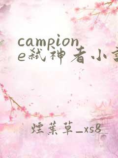 campione弑神者小说