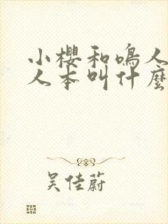 小樱和鸣人的同人本叫什么