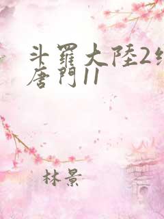 斗罗大陆2绝世唐门11
