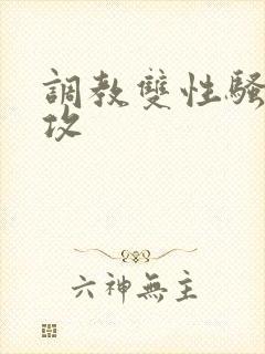 调教双性骚货总攻