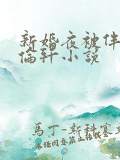 新婚夜被伴郎强伦轩小说