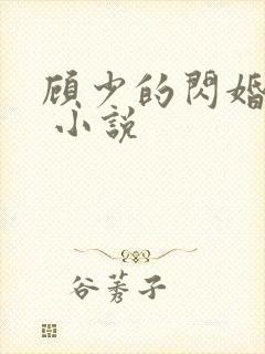 顾少的闪婚宠妻 小说