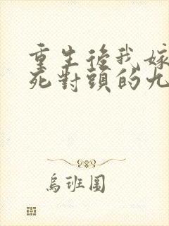 重生后我嫁给了死对头的九叔