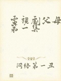 电视剧父母爱情第一集