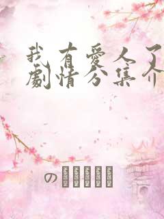 我有爱人了韩剧剧情分集介绍