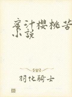 蜜汁樱桃苦咖啡小说