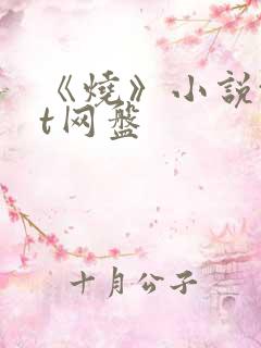 《烧》小说txt网盘