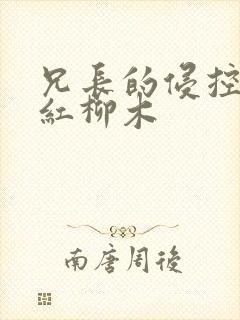 兄长的侵控by红柳木