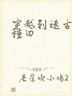 穿越到远古部落种田