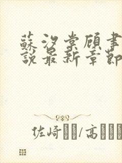 苏汐棠顾聿川小说最新章节免费阅读