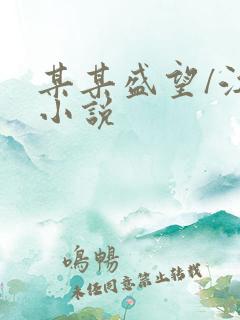 某某盛望/江添小说