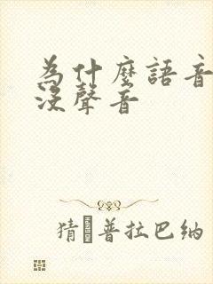 为什么语音通话没声音