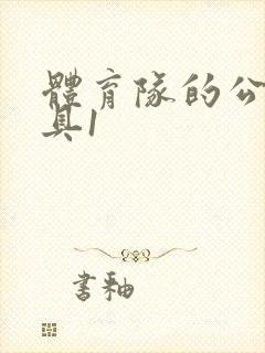 体育队的公用玩具1