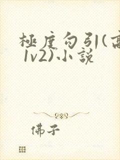极度勾引(高h 1v2)小说