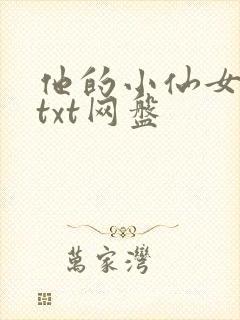 他的小仙女小说txt网盘