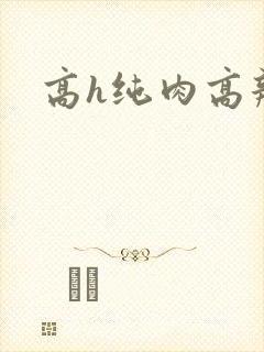 高h纯肉高辣文