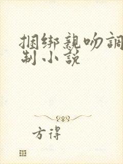 捆绑亲吻调教强制小说