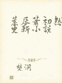 叶辰萧初然最快更新小说