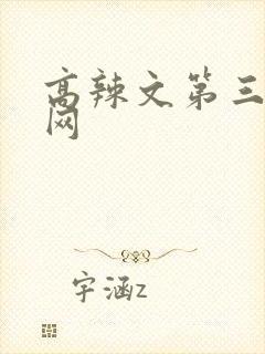 高辣文第三书包网