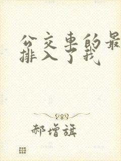 公交车的最后一排入了我