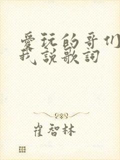 爱玩的哥们你听我说歌词