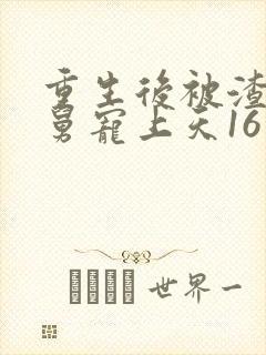 重生后被渣男舅舅宠上天16