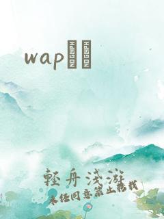 wapС˵