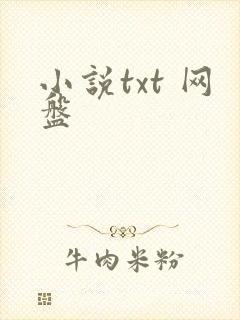 小说txt 网盘