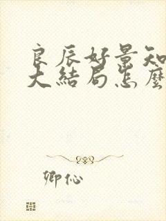 良辰好景知几何大结局怎么样