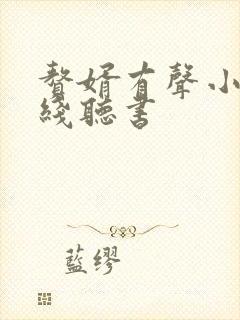 赘婿有声小说在线听书