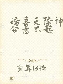 娇妻天降神秘老公惹不起