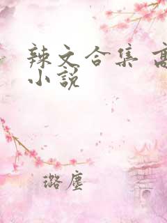 辣文合集 高h小说