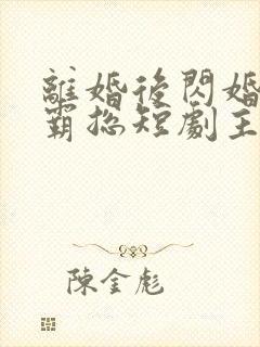 离婚后闪婚首富霸总短剧主要演员