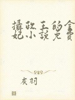 摄政王的金牌宠妃小说免费阅读