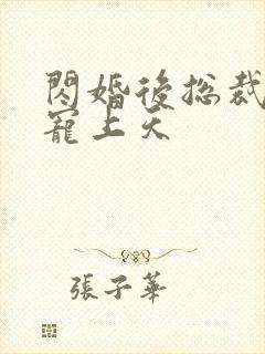 闪婚后总裁把我宠上天