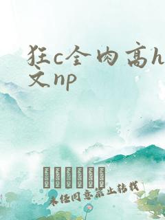 狂c全肉高h辣文np