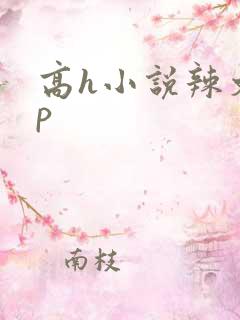 高h小说辣文np