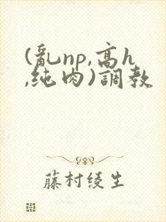(乱np,高h,纯肉)调教