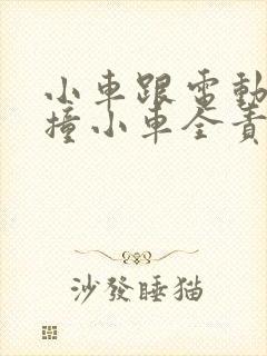 小车跟电动车相撞小车全责怎么赔偿