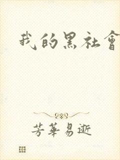 我的黑社会女友